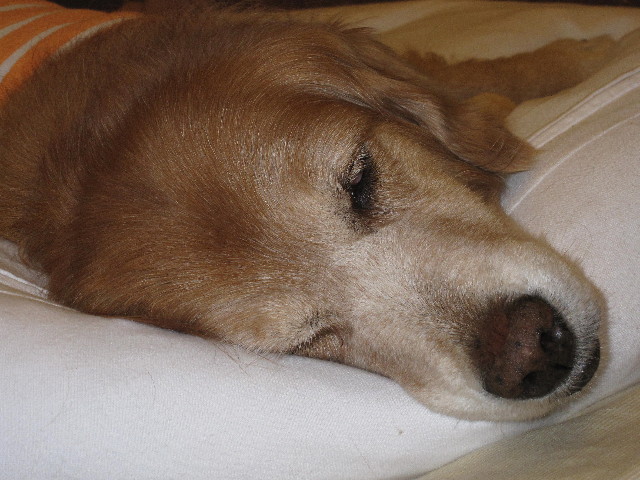 ファイル 1795-2.jpg