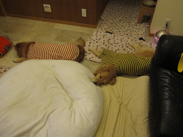 ファイル 1795-4.jpg