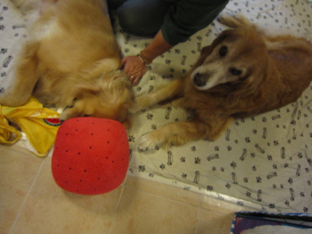 ファイル 1797-4.jpg