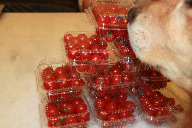 ファイル 1799-1.jpg