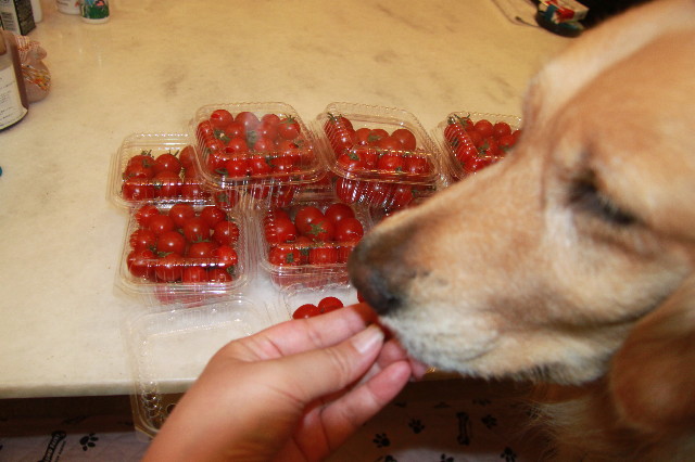 ファイル 1799-3.jpg