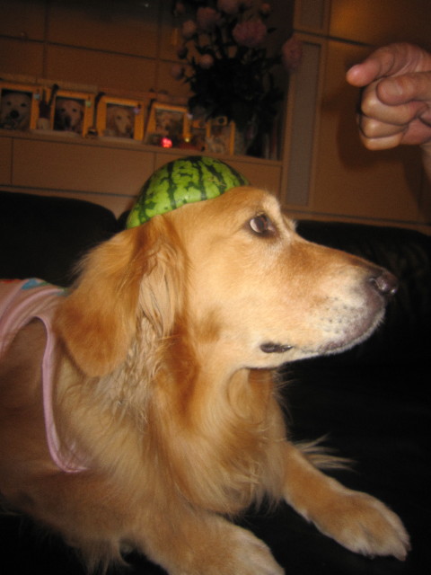 ファイル 1801-2.jpg