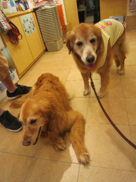 ファイル 1802-4.jpg