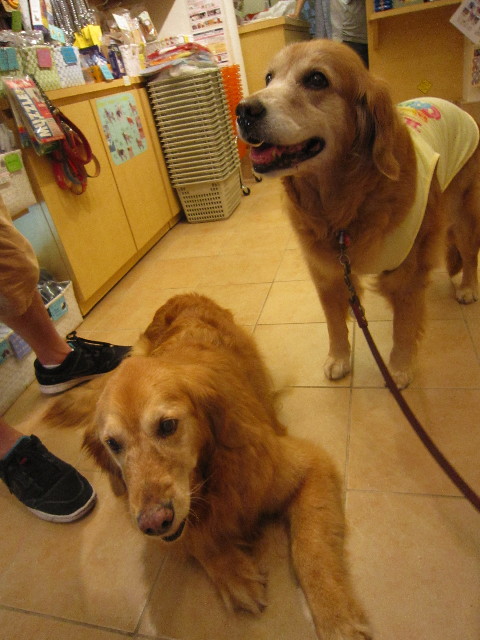 ファイル 1802-5.jpg