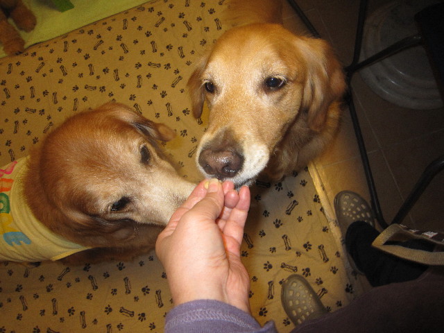 ファイル 1804-5.jpg