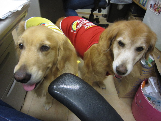 ファイル 1808-4.jpg