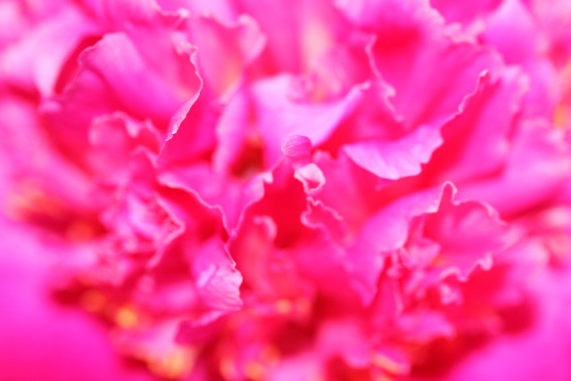 ファイル 1809-4.jpg