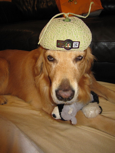 ファイル 1812-1.jpg