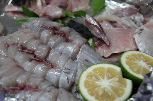 ファイル 1815-1.jpg