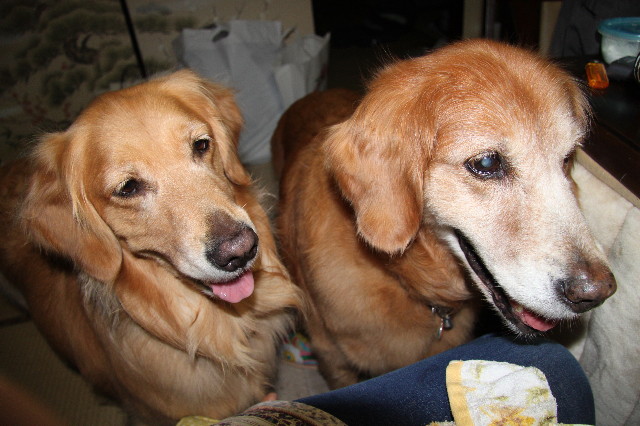 ファイル 1815-3.jpg