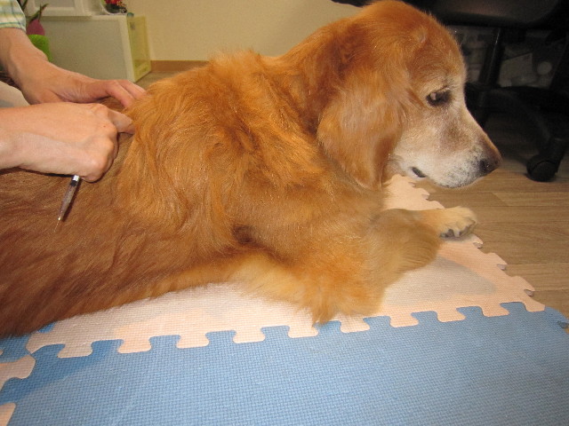 ファイル 1816-2.jpg