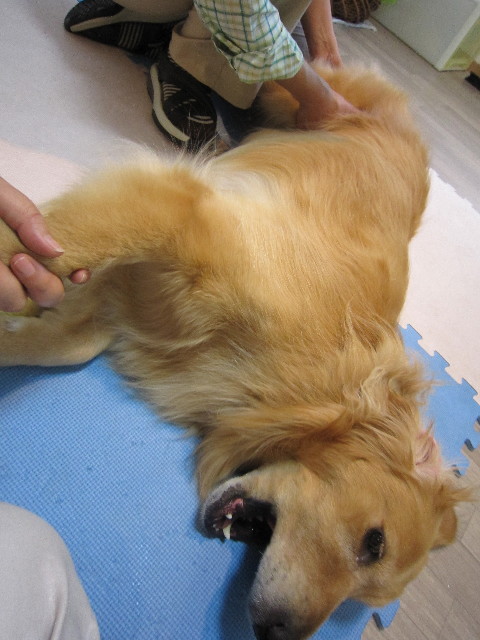 ファイル 1816-3.jpg