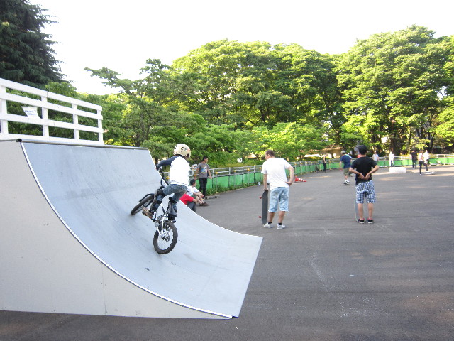 ファイル 1817-2.jpg