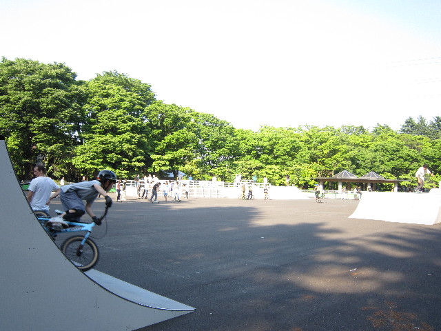 ファイル 1817-3.jpg