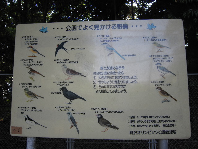 ファイル 1818-3.jpg