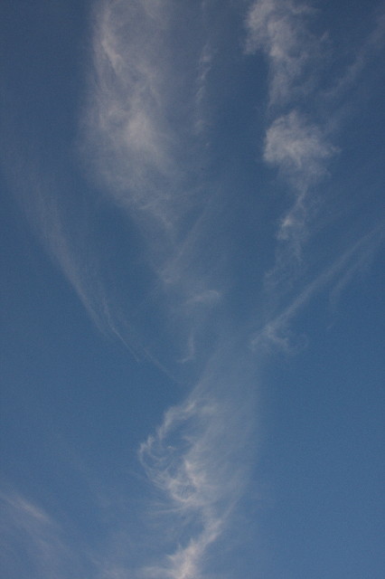 ファイル 1819-1.jpg