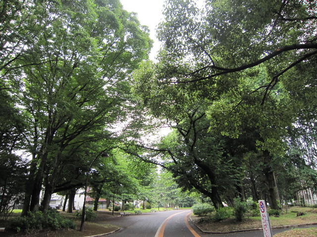 ファイル 1820-1.jpg