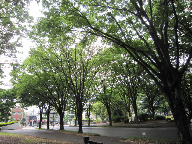 ファイル 1820-2.jpg