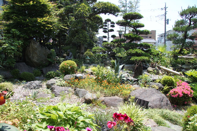 ファイル 1820-4.jpg