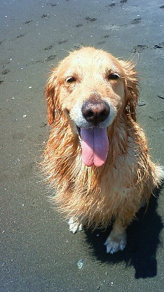 ファイル 1821-4.jpg