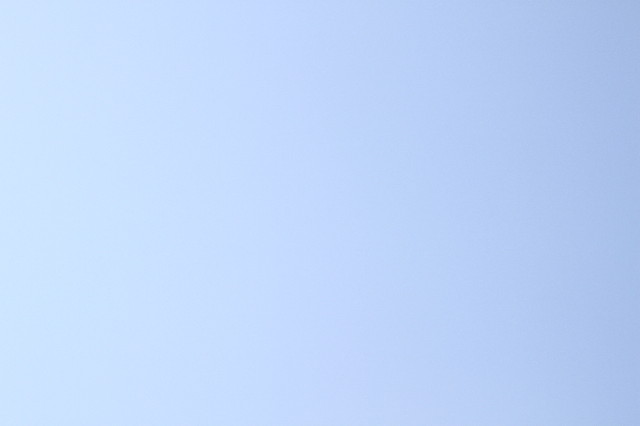 ファイル 1822-1.jpg