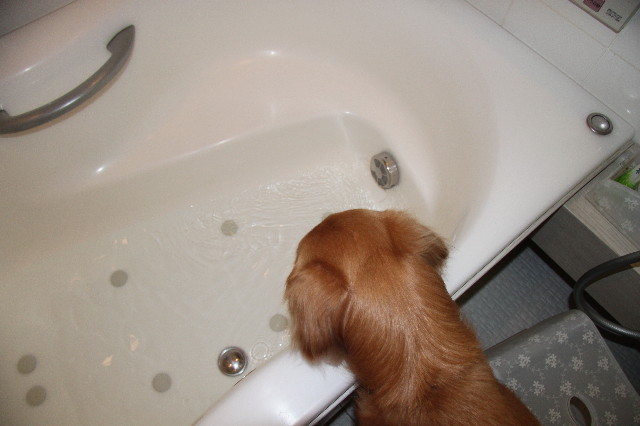 ファイル 1822-4.jpg