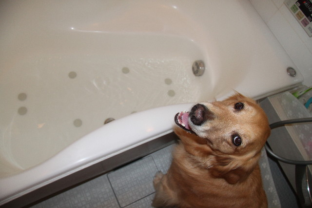 ファイル 1822-5.jpg