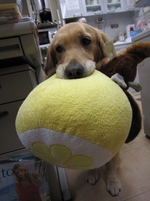 ファイル 1823-1.jpg