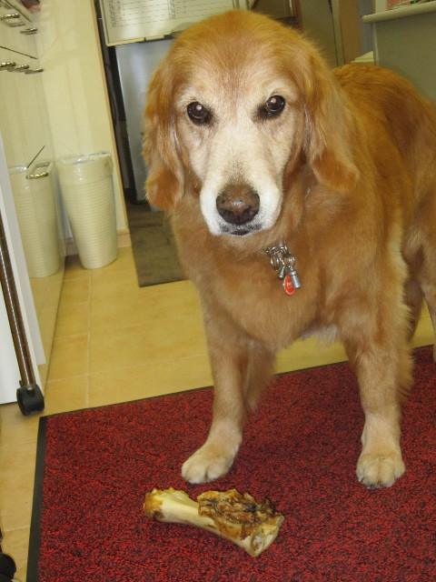 ファイル 1823-4.jpg