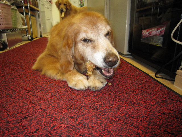 ファイル 1823-5.jpg