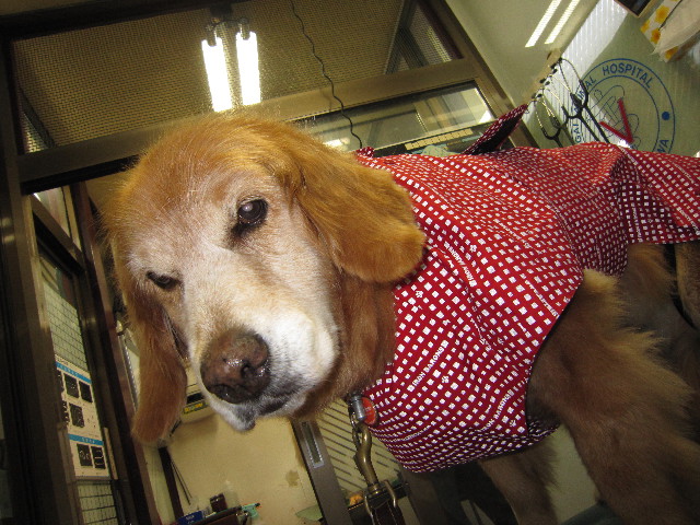 ファイル 1824-2.jpg