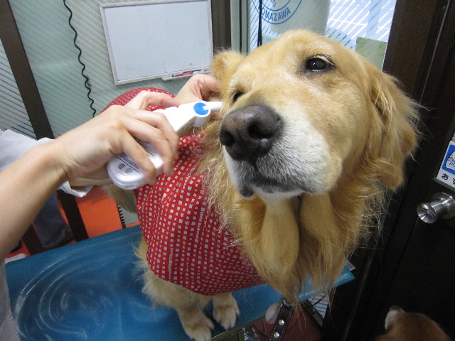 ファイル 1824-3.jpg