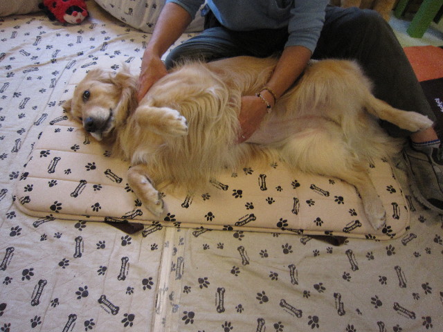 ファイル 1824-5.jpg