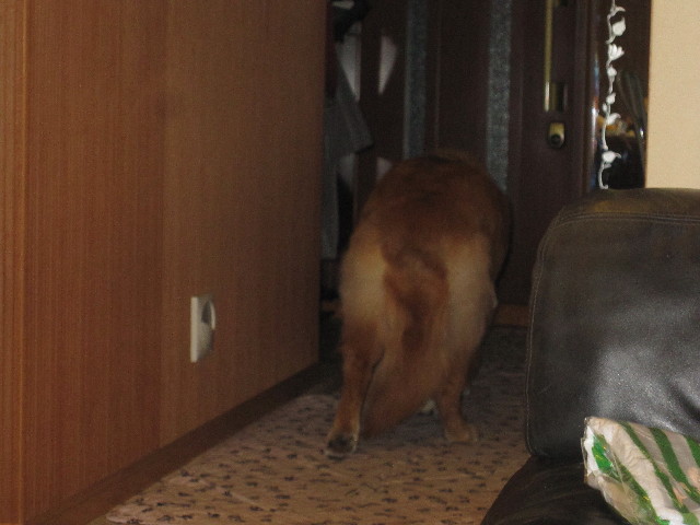 ファイル 1825-2.jpg