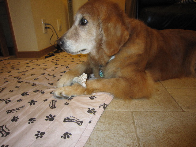 ファイル 1825-4.jpg