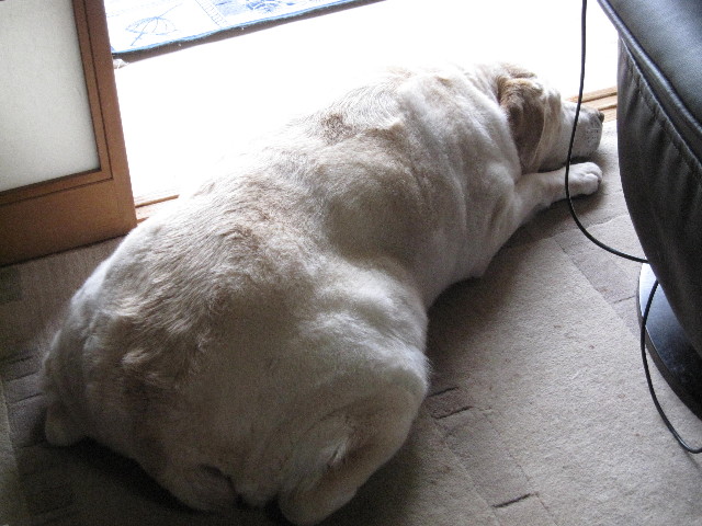 ファイル 1825-5.jpg