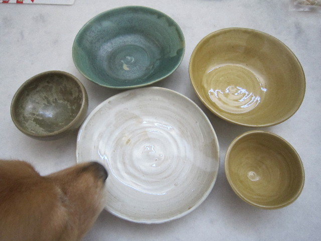 ファイル 1827-1.jpg