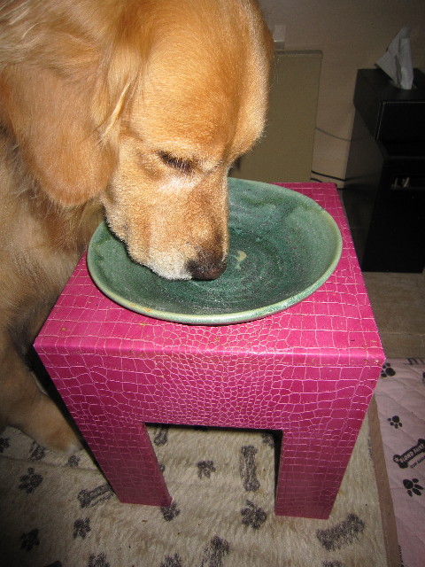 ファイル 1827-3.jpg