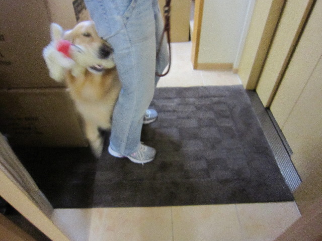 ファイル 1828-2.jpg