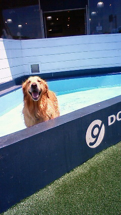 ファイル 1828-3.jpg