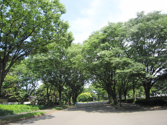 ファイル 1828-5.jpg