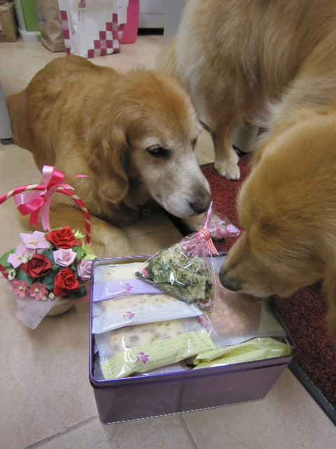 ファイル 1829-1.jpg