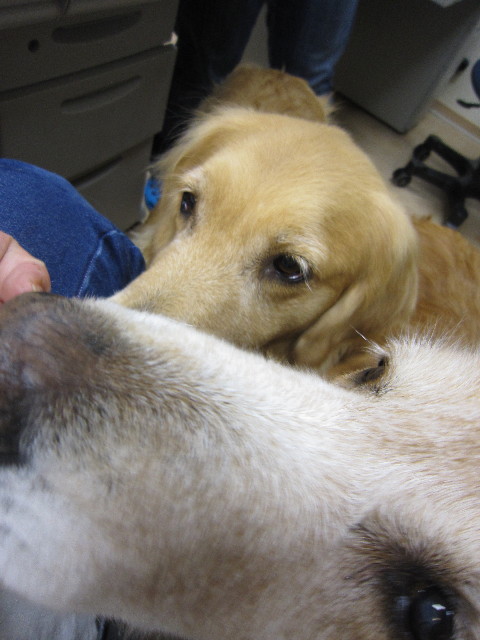 ファイル 1829-5.jpg