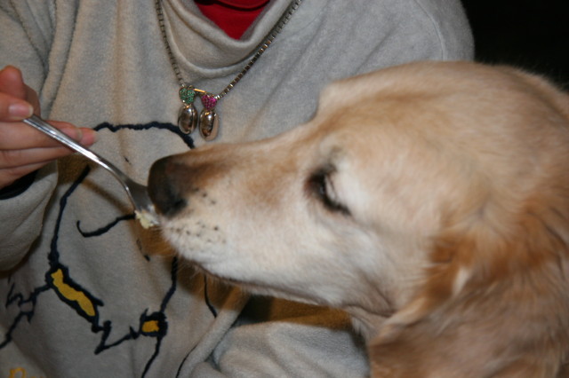 ファイル 183-3.jpg