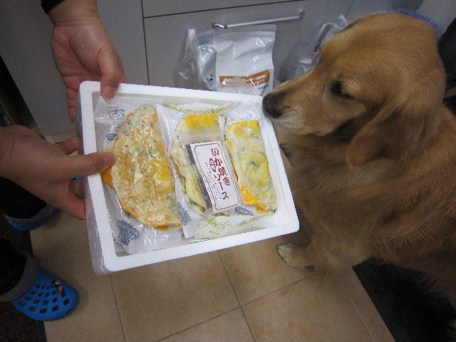 ファイル 1830-1.jpg