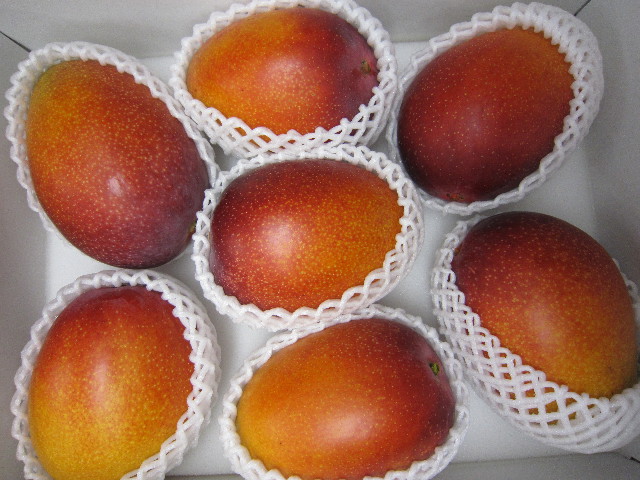 ファイル 1831-1.jpg