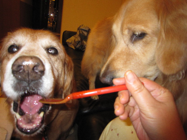 ファイル 1831-3.jpg