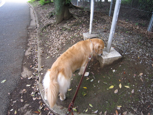 ファイル 1832-3.jpg