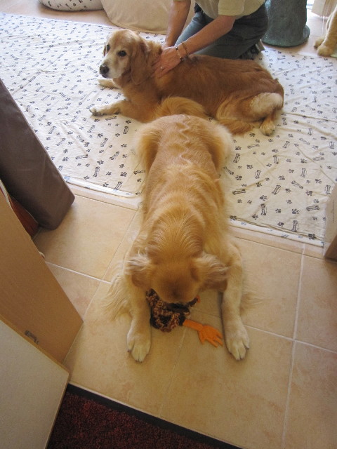 ファイル 1833-2.jpg