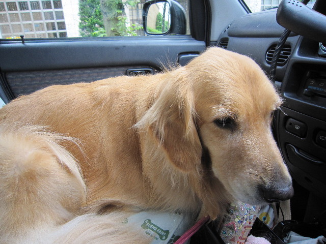 ファイル 1835-1.jpg